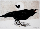 Grafiken von Werner Schinko